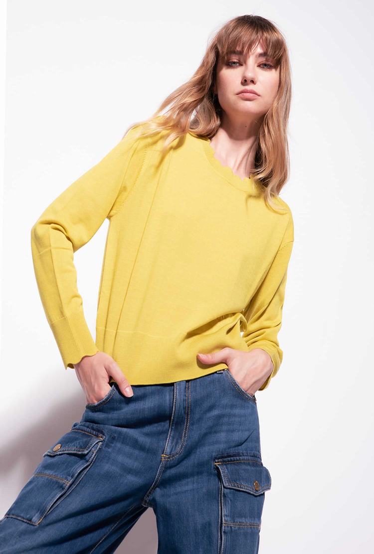 Women's Pinko Love Birds Embroidery Pullover Yellow | Canada-48653029